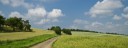 Summer Road
