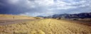 Rural landscape in Idaho