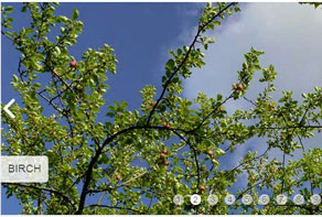 Galería de Imágenes HTML5